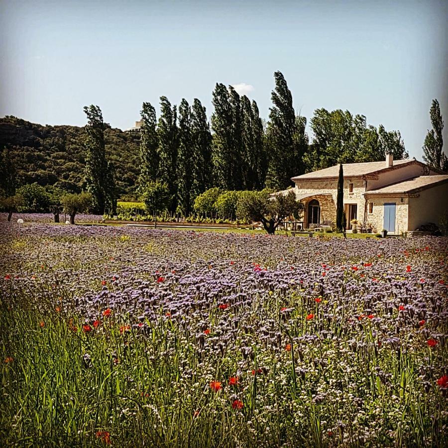 Bed and Breakfast Fontaine De Cerier Castillon-du-Gard Exteriér fotografie